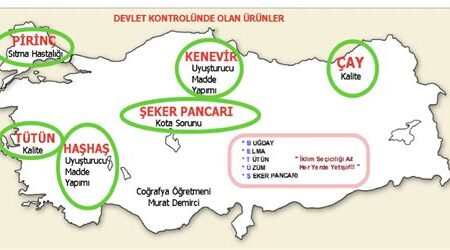 KPSS Coğrafya Bilgilerini Ezberlemenin Püf Noktaları